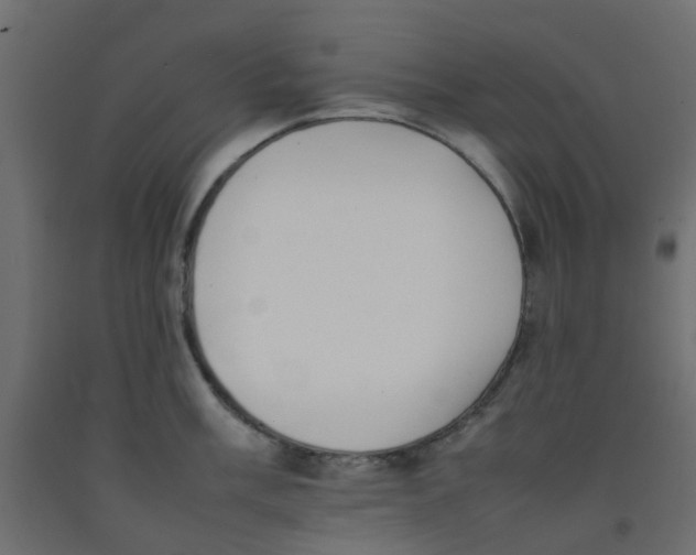 X0000092101003200710101118