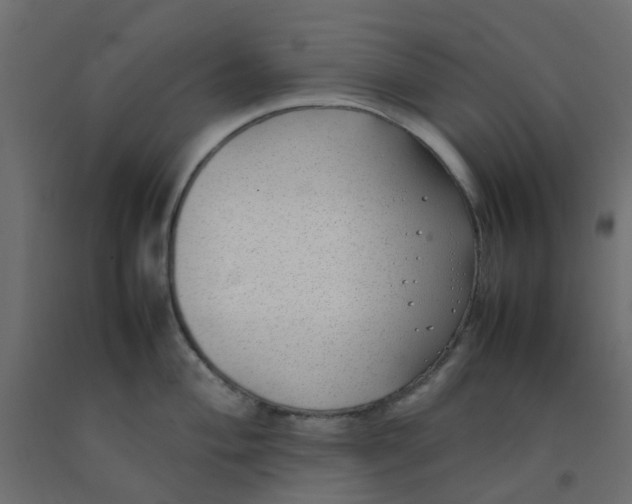 X0000092101004200710101118