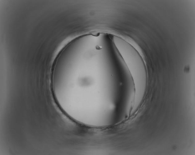 X0000092101005200710101118