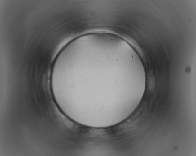 X0000092101006200710101118