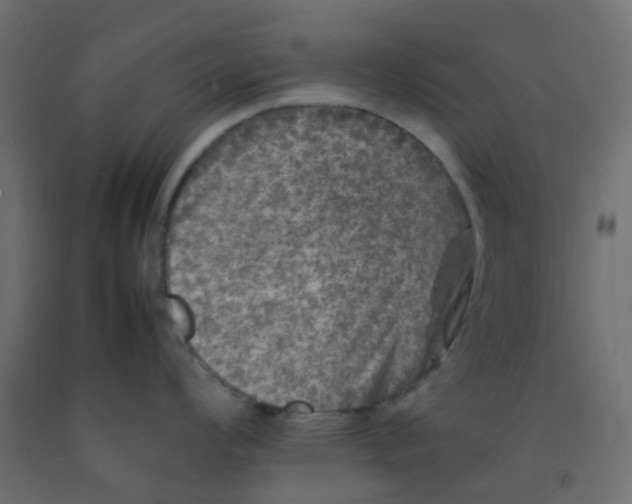 X0000092101008200710101118