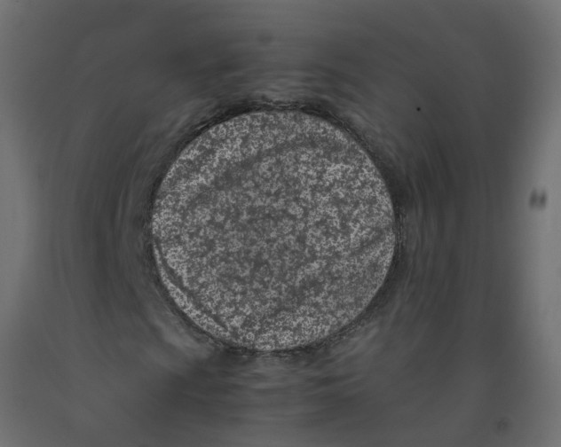 X0000092101009200710101117