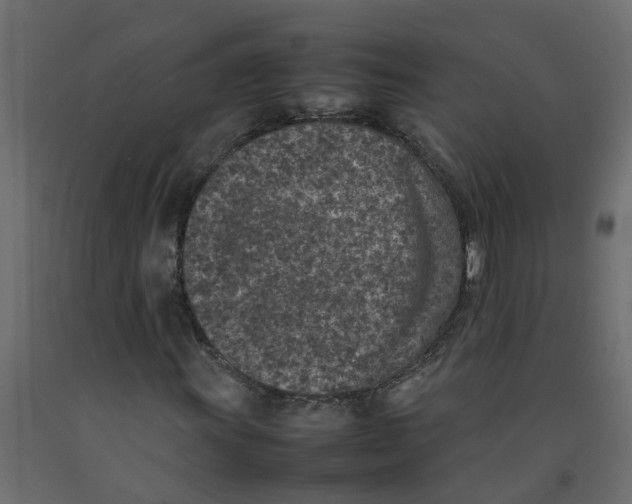 X0000092101011200710101117