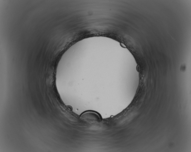 X0000092101012200710101117