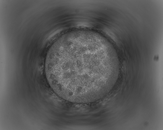 X0000092101015200710101117