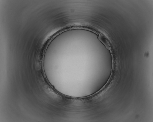 X0000092101018200710101117