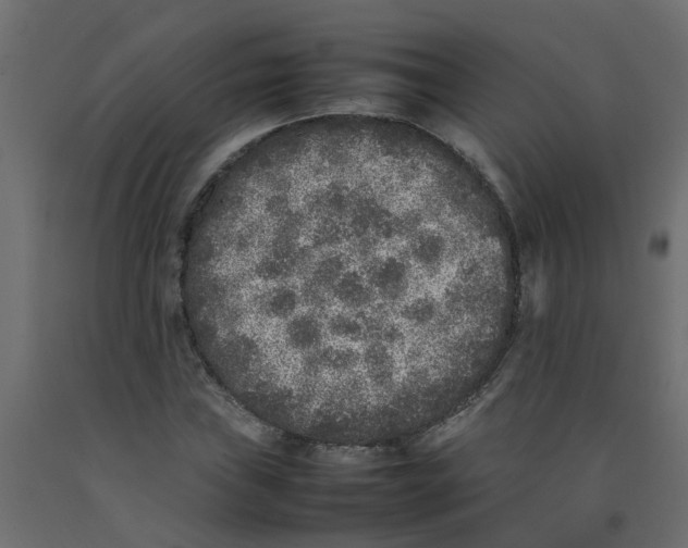 X0000092101019200710101117