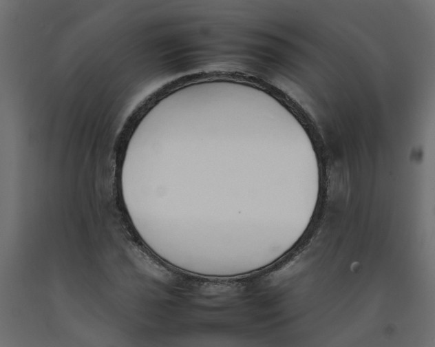 X0000092101021200710101117