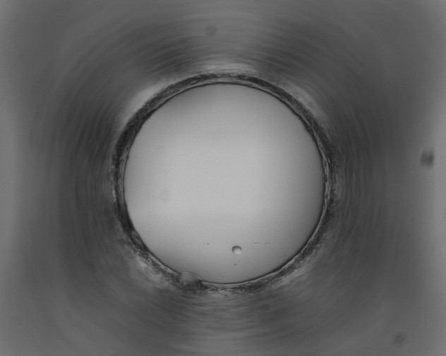 X0000092101022200710101117