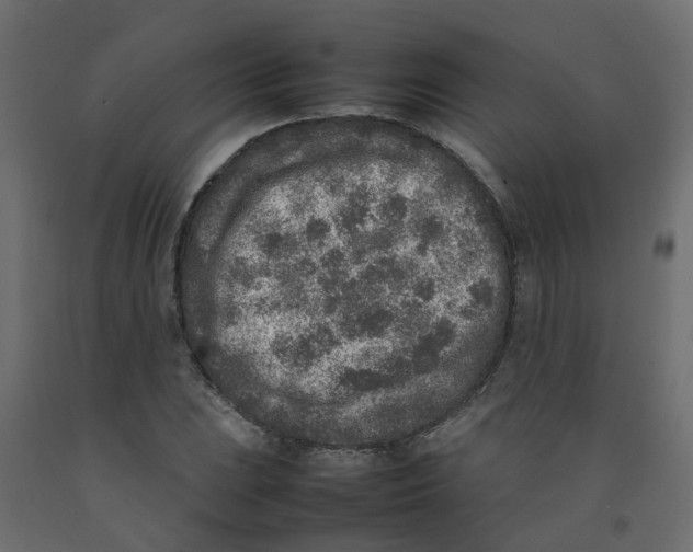 X0000092101023200710101117