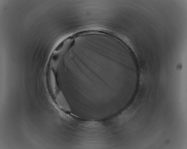 X0000092101024200710101117