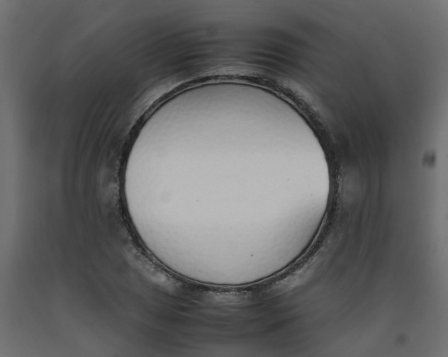 X0000092101025200710101117