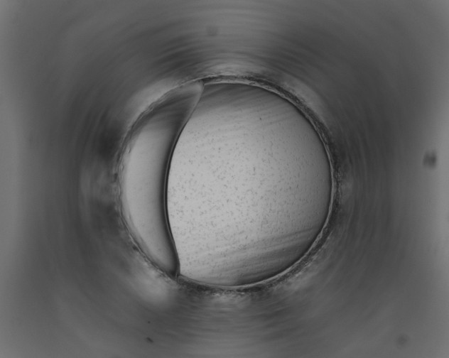 X0000092101026200710101117