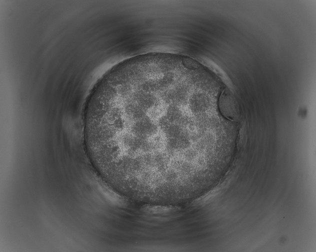 X0000092101027200710101117