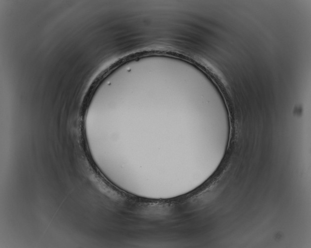 X0000092101029200710101117