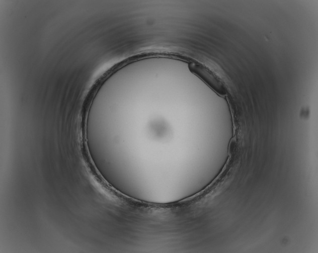 X0000092101030200710101117