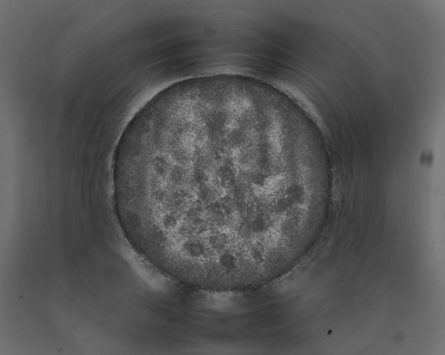 X0000092101031200710101117