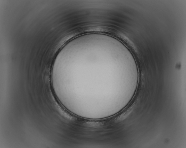 X0000092101033200710101117