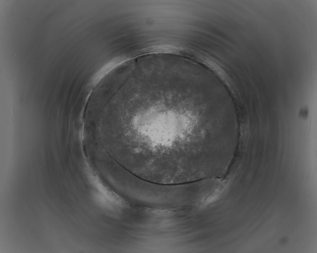 X0000092101034200710101117