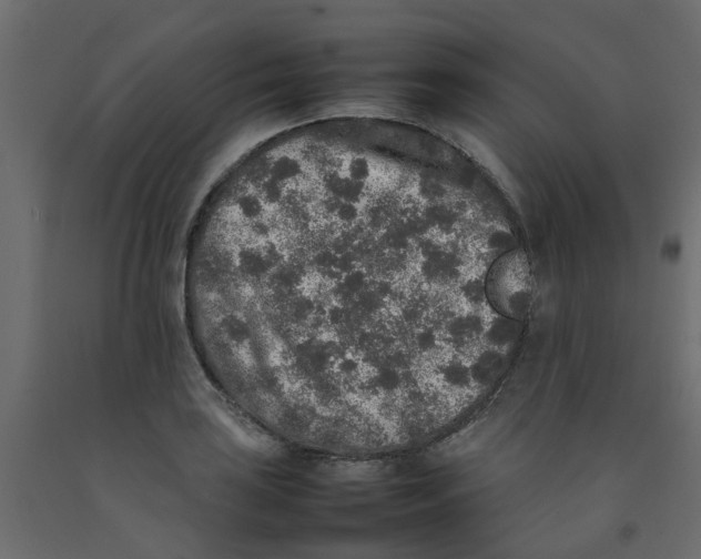 X0000092101035200710101117