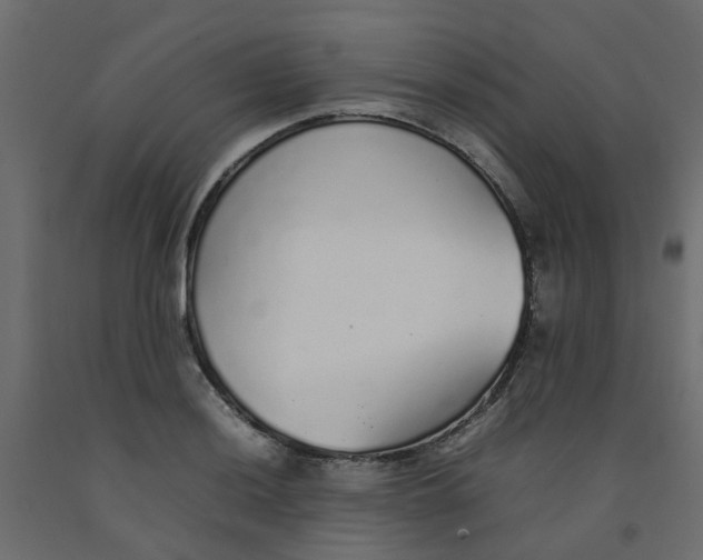 X0000092101036200710101117