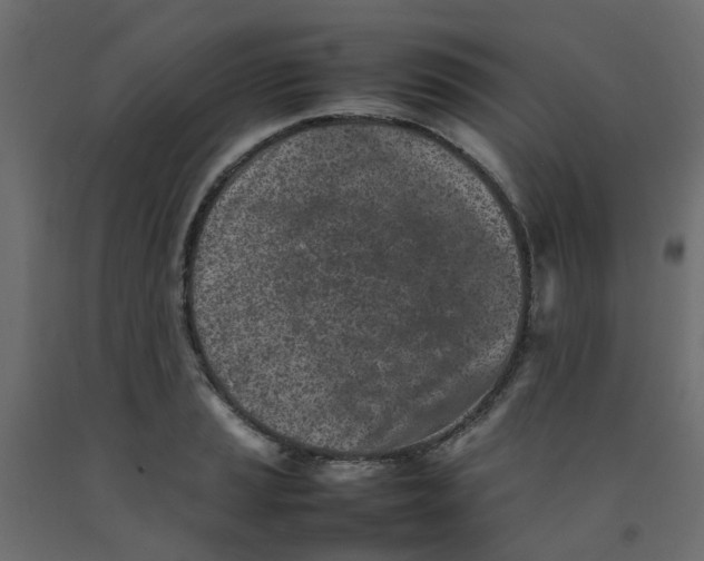 X0000092101037200710101117