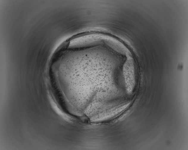 X0000092101038200710101117