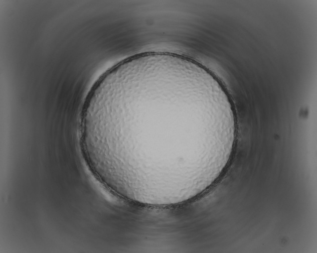 X0000092101040200710101117