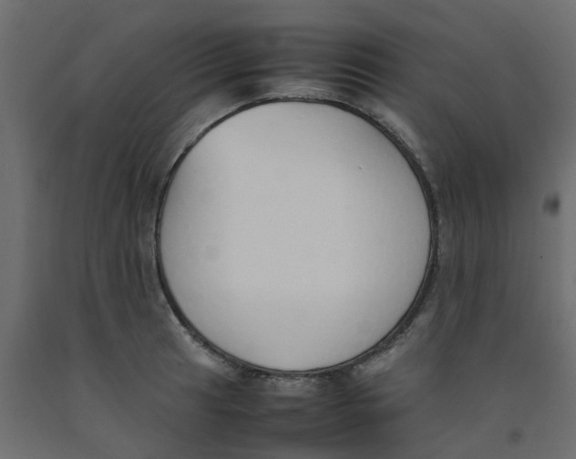 X0000092101041200710101117