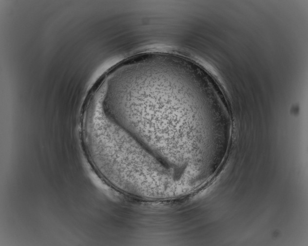 X0000092101042200710101117