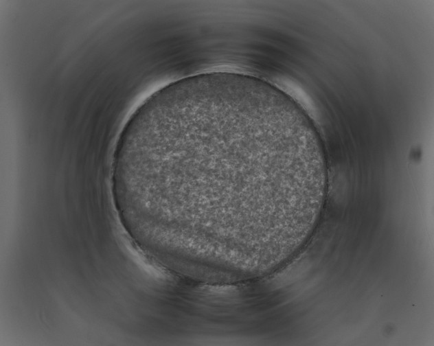 X0000092101043200710101117