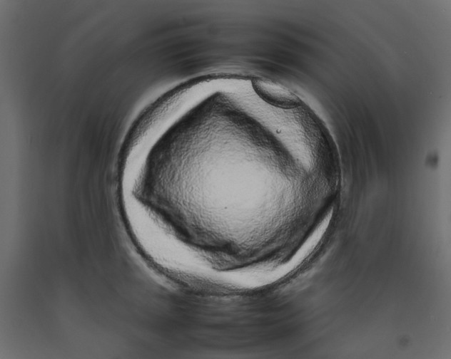 X0000092101045200710101118