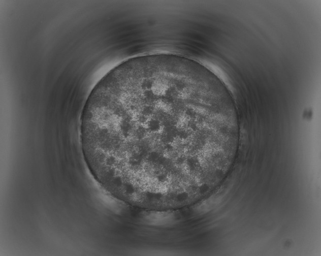 X0000092101047200710101118