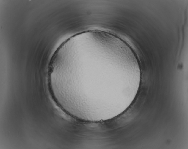 X0000092101048200710101118