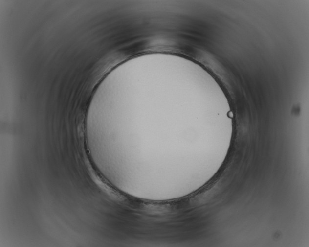 X0000092101049200710101118