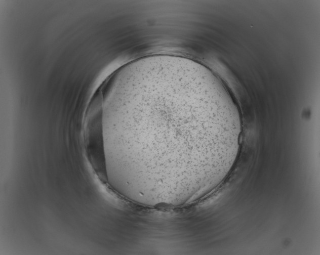 X0000092101050200710101118