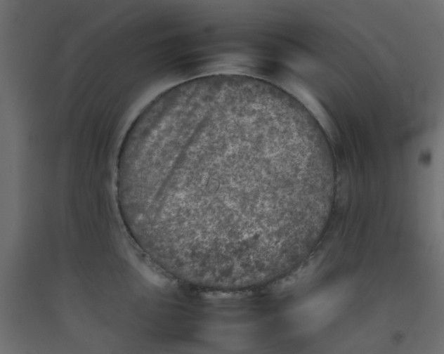 X0000092101051200710101118