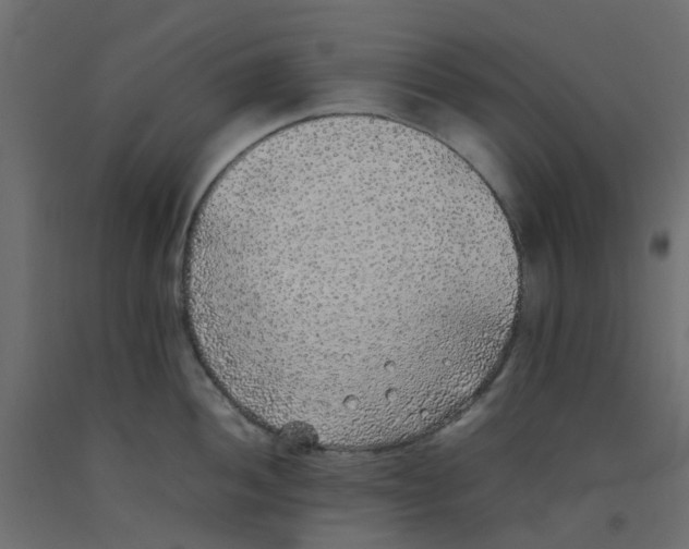 X0000092101052200710101118