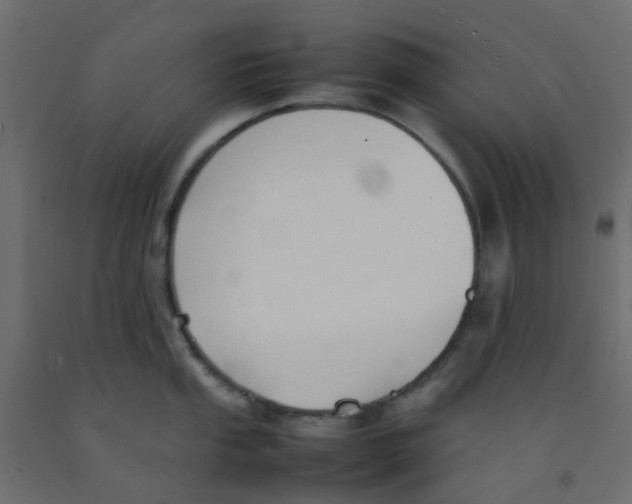 X0000092101053200710101118