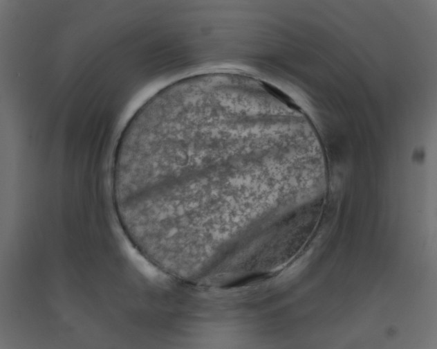 X0000092101054200710101118