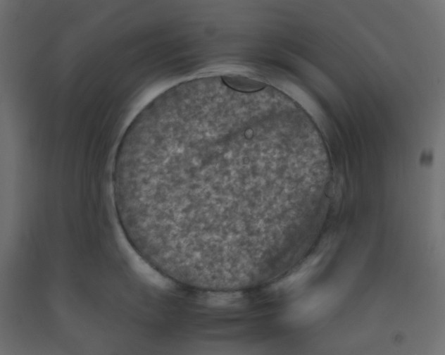 X0000092101055200710101118