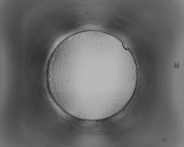 X0000092101056200710101118