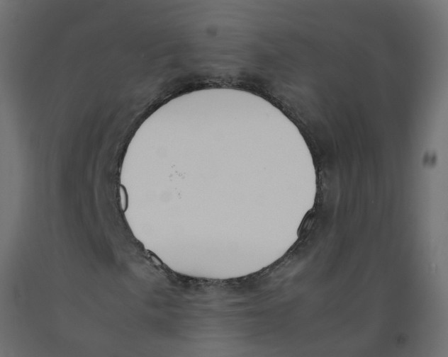 X0000092101057200710101117