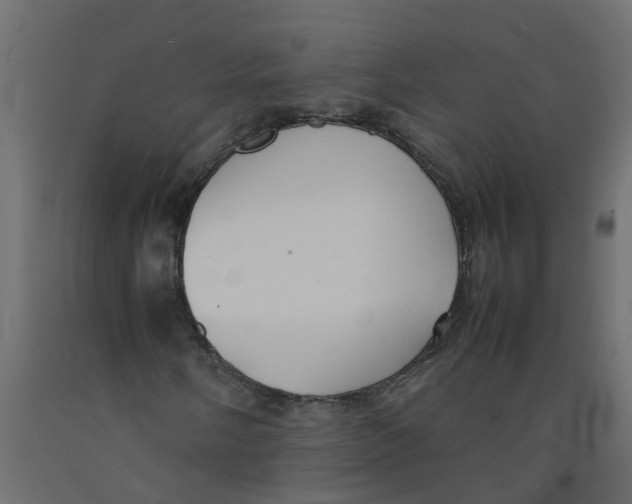 X0000092101058200710101117