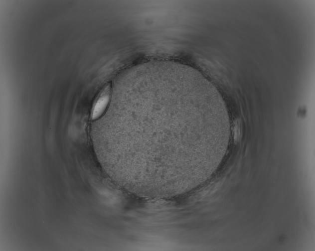 X0000092101059200710101117