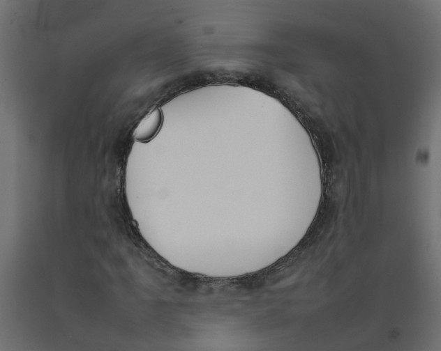 X0000092101061200710101117