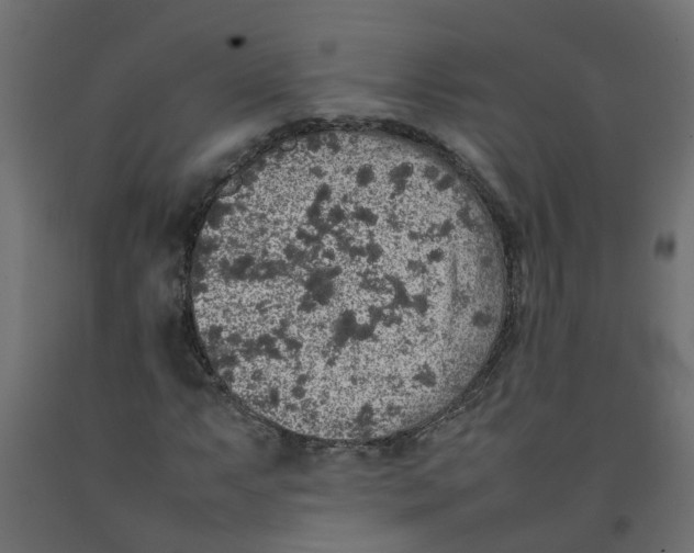 X0000092101063200710101117