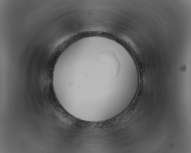 X0000092101064200710101117