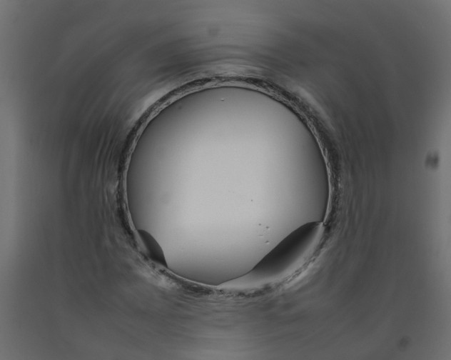 X0000092101065200710101117