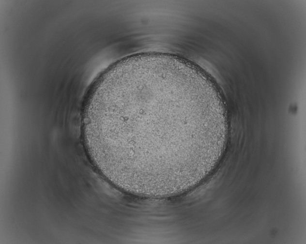 X0000092101067200710101117